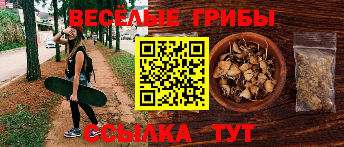 Галлюциногенные грибы мицелий  Вход с VPN  Галлюциногенные грибы Psilocybine cubensis  Реж 